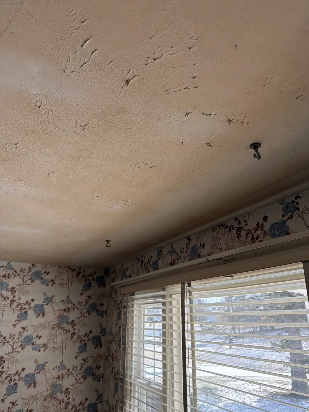 Moisture meter reading on drywall in Plum Creek water loss